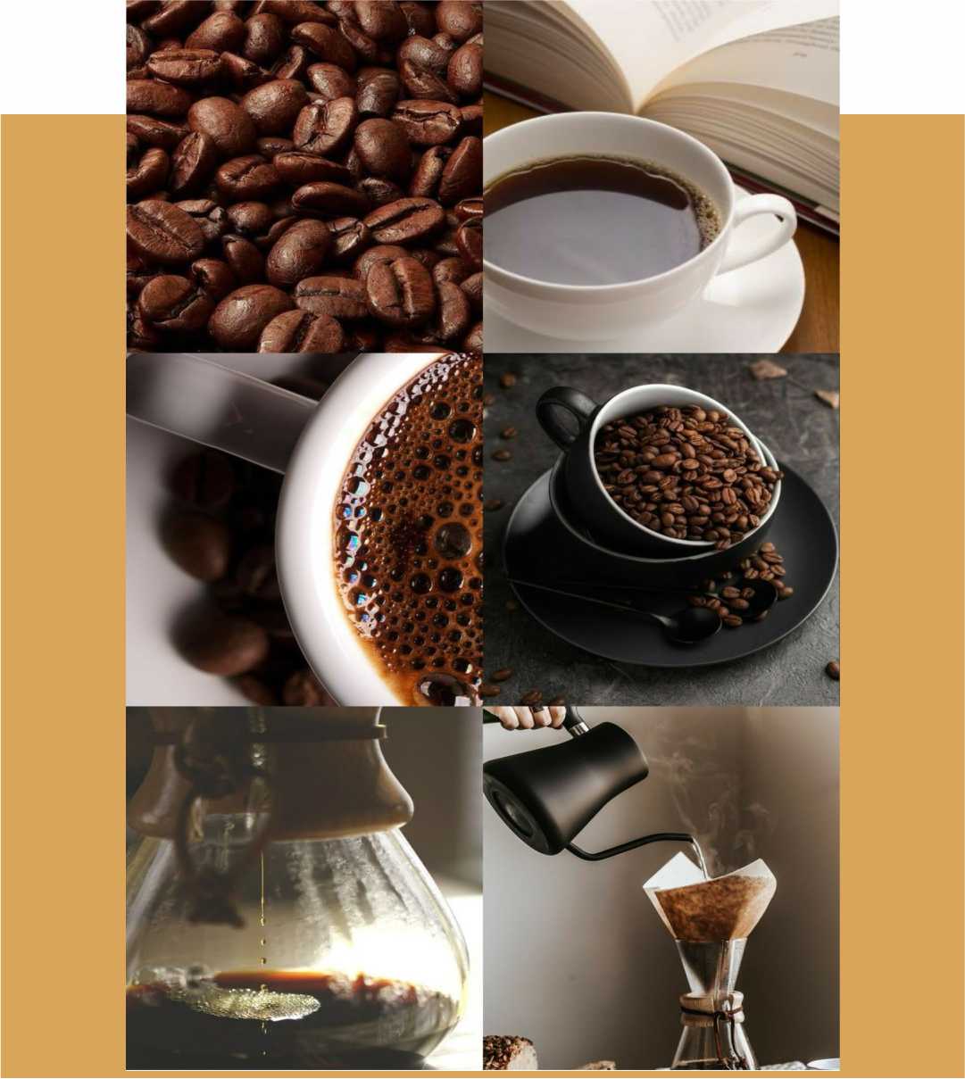 Café Especial em Grãos - More Coffee - Imagem 5